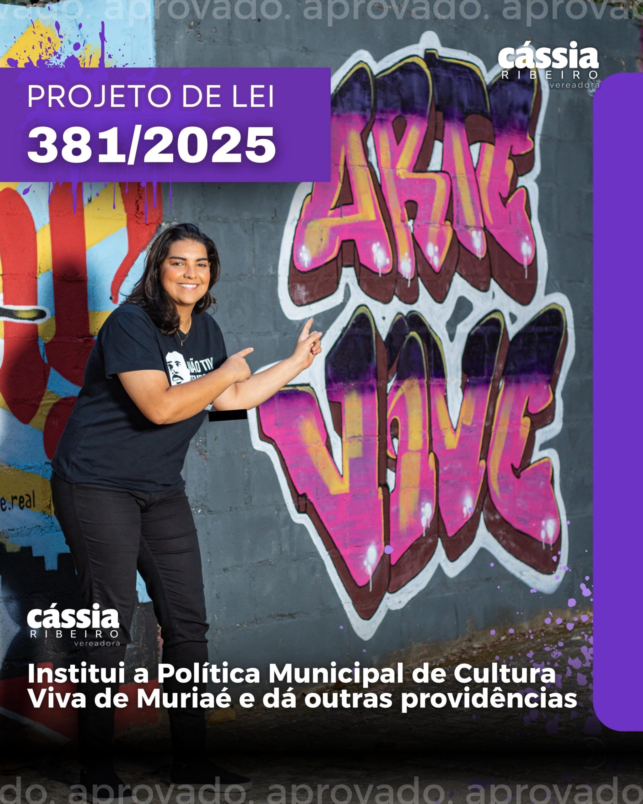 Câmara de Muriaé aprova Política Municipal de Cultura Viva